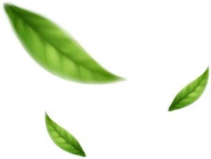 Shape Image