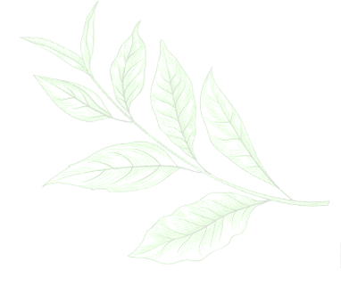 Shape Image