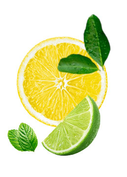 Shape Image